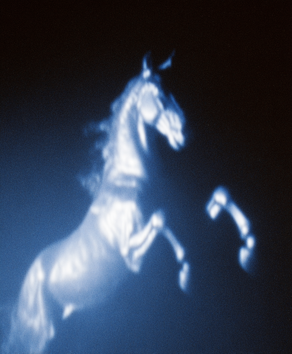 Glowing cloud shaped like a rearing horse in the night sky
