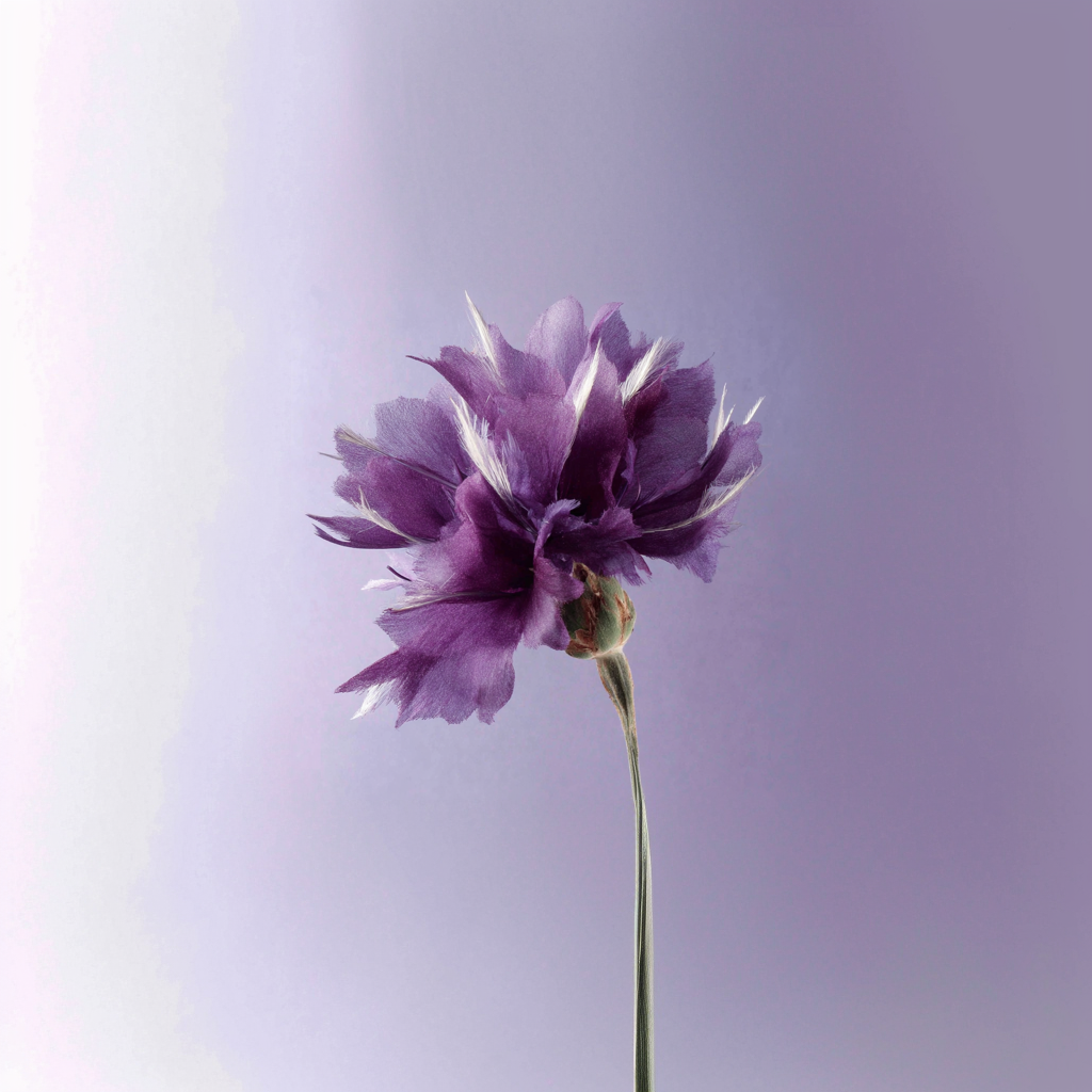 Purple flower with a stainless-steel sheen on a violet background