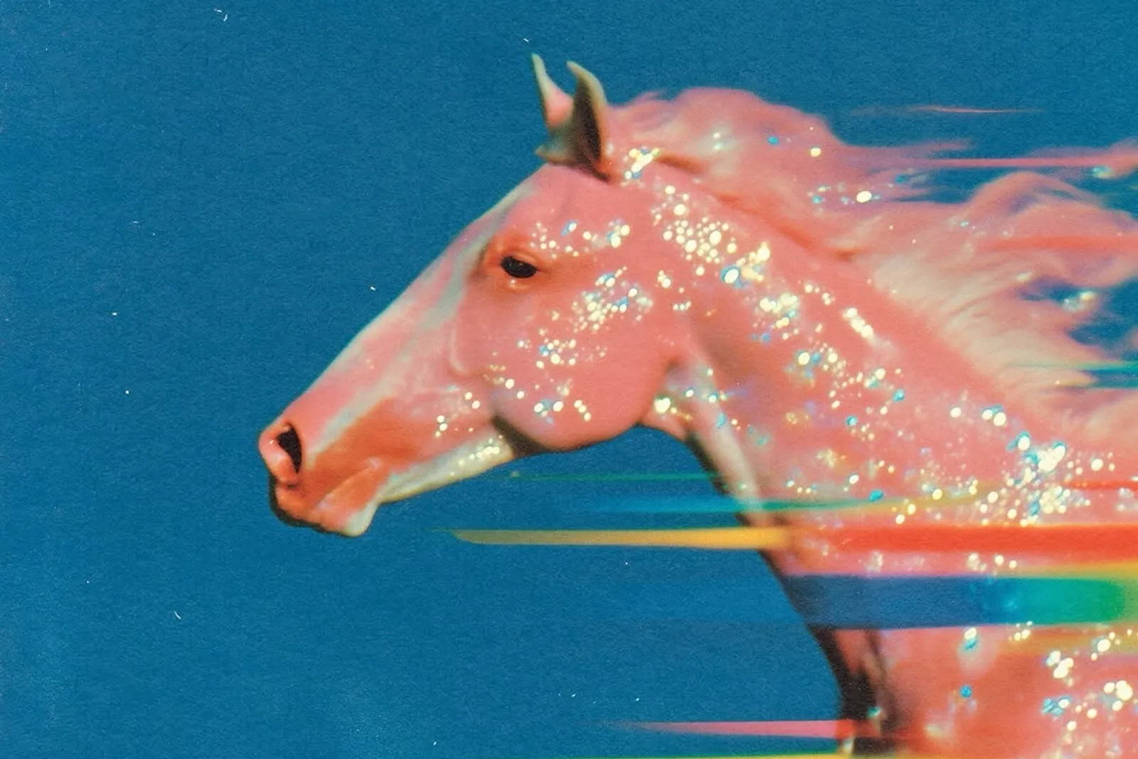 AI photo example for Veterinarians